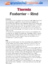 Foxterrier - Rind.pdf